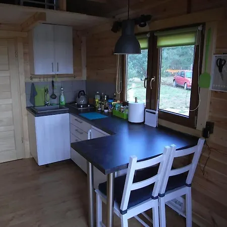 New Forest 2 Na Kaszubach Holiday home Tuszkowy